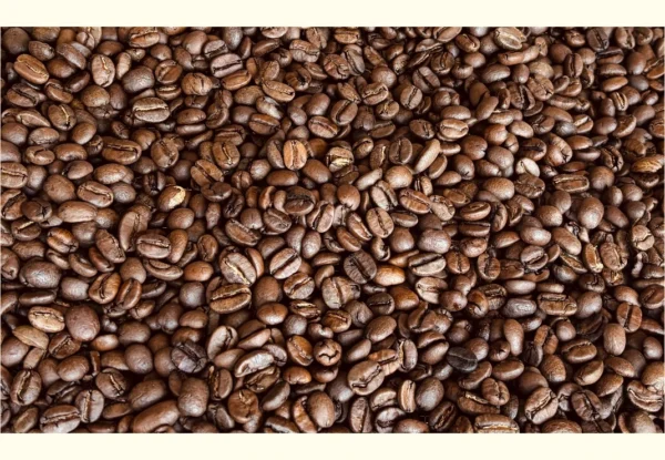 Fresh roasted coffee beans blend in cooling tray