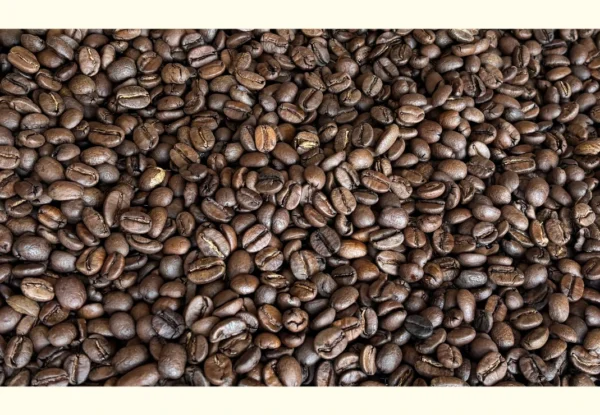 Coffee beans freshly roasted in cooling tray
